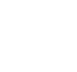 Flite Test Logo