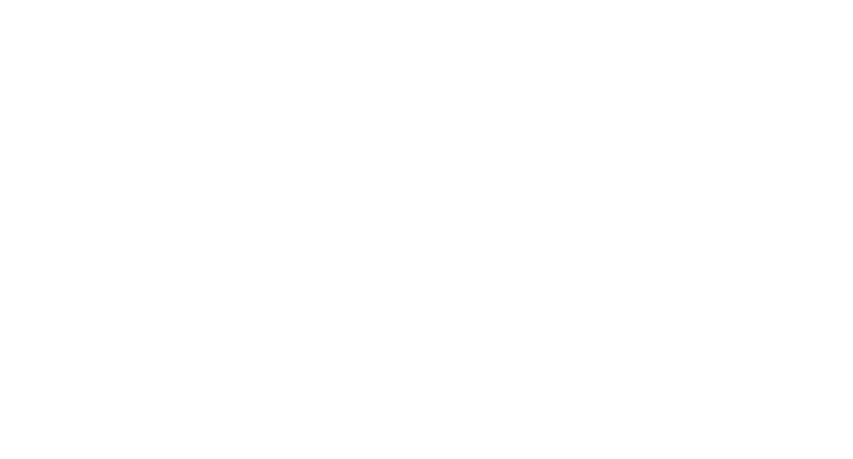 Flite Test Stem Logo