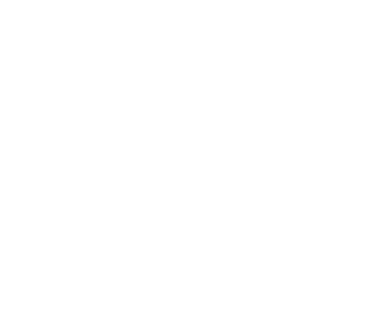 SmartWay Tech white logo
